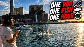 1 Rod, 1 Fish, 1 Hour… How Hard Could It Be?