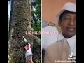 chago y soy la oruga