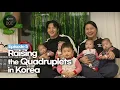 Episode 5 A Korean couple raising quadruplets couple vlog
