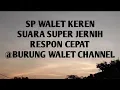 Download Lagu SP WALET SUARA JERNIH
