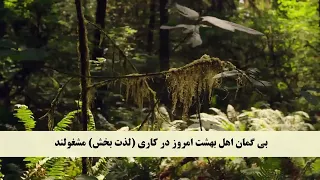 023 جزء ۲۳  ترجمه تصویری و صوتی گفتاری با تلاوت زیبای قاری مشاری راشد العفاسی