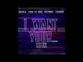 Crystal Rock, Robin White, Renee - I Want Your... (DaKla, Nini & Titi, Alyssa, Mashu Remix) Audio
