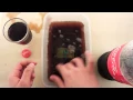 Microsoft Lumia 535 - Coca Cola Test