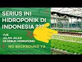 Kebun Hidroponik Indonesia SKALA INDUSTRI | Jelajah Greenhouse Hidroponik