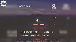 mshayi u0026 mr thela everything i wanted bootleg 