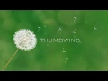 The Best Sites and Things to Do In Michigan s Thumb