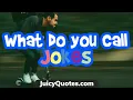 Funny What Do You Call Jokes and Puns - Fun and Interactive