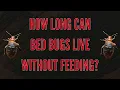 How Long Can Bed Bugs Live Without Feeding The Bed Bugs Experts