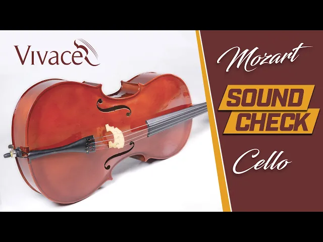 Violoncelo Eagle CE 210 4/4