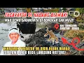 Download Lagu HEBOH KDM❗EXCAVATOR CAK MUJI DI HADANG BIAWAK❗DEMO SARANGNYA DI BONGKAR DI KALI SRENGSENG BEKASI❗