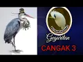 Geguritan Cangak bag.3 oleh I Nyoman Rede dan Dewa Aji Wanten Yeh Embang Negara