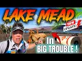 Lake Mead in terrible trouble lowest level Ever recorded Must See report