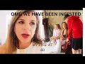 Download Lagu OMG MY CUPBOARD IS INFESTED - MY BABIES HAVE ARRIVED - VLOGGING MY LIFE AT 60