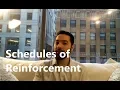 ABA Therapy Schedules of Reinforcement