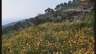 فيروز   امي نامت ع بكير  النسخة الاصلية   دندنها