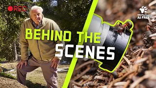 The Secret Tricks we use to Make Nature Documentaries