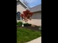 Beautiful Ranch Home Findlay Ohio