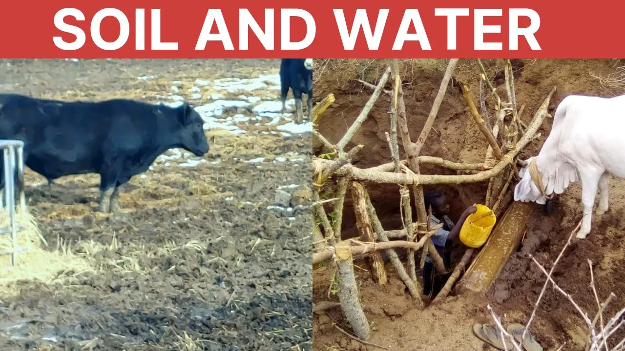 Virginia to Kenya: RIPARIAN BUFFERS WORK!