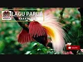 Download Lagu LAGU PAPUA ~KAKA BLACK~