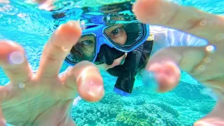 ASMR in 石垣島 🏝️(No Talking/Nature Sounds)