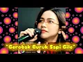 Download Lagu Geli Sendiri !! @ladyrara Live Home Studio Nyanyi dengan Kocak Lagu Daerah Sumatera Selatan 
