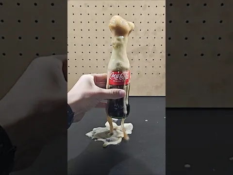 Never let this happen to you again...