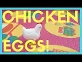 Chicken Laying Surprise Eggs Silly Pooping Chicken Toy