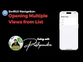 SwiftUI Navigation Opening Multiple Views from List
