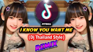 Download DJ I KNOW YOU WANT ME | Dj Thailand Style | DJ BHARZ REMIX MP3