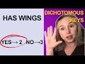 The Dichotomous Key Strategy Every Biology Student Needs