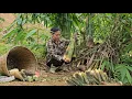 Download Lagu Een alleenstaande moeder plukt bamboescheuten in het bos om haar 8 maanden oude baby te voeden.