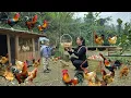 Lagu Tiểu Ca harvests eggs at the chicken farm to earn money to prepare for the Lunar New Year.