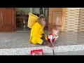 Download Lagu Super funny! CUTIS takes baby monkey fishing in special place 😂