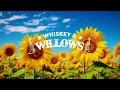 cole swindell - she had me at heads carolina (lyrics)