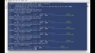 How To Manage Your Node js Servers Using Forever