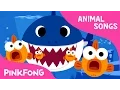 Download Lagu Baby Shark | Animal Songs | PINKFONG Songs for Children
