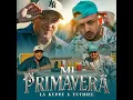 Mi Primavera - La Kuppe & Yuthiel