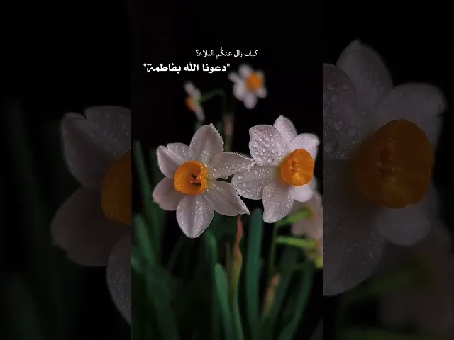 ⁣إلهي بفاطمة 🖐🌻
