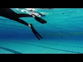 Propulsion and Movement of Atomic Aquatics Split Fins I