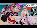 Download Lagu แอบพาแพนด้า ไปเที่ยวครั้งแรกและครั้งสุดท้าย (แต่แฟนไม่ให้เอามาอีก)