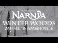 Chronicles of Narnia Winter Woods Music \u0026 Ambience Relaxing Music with Sounds of Winter