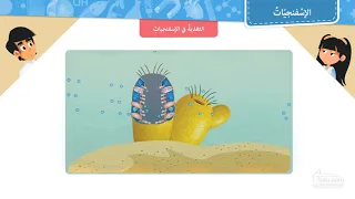الإسفنجيات 