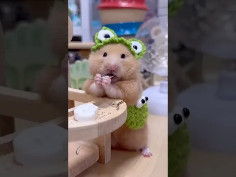 Cuteness Level: Off the Charts! 😍❤️