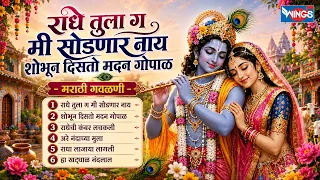राधे तुला ग मी सोडणार नाय | मराठी गवळणी | Radhe Tula G Mi Sodnaar Nay | Marathi Gavlan Songs