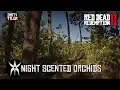 All Night Scented Orchids Red Dead Redemption 2 - RDR2