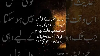 Https Whatsapp Com Channel 0029Vb4pmcID38CNCBWTPJ3K Jannah IslamicReminder Hadith 