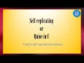 Quine Computing