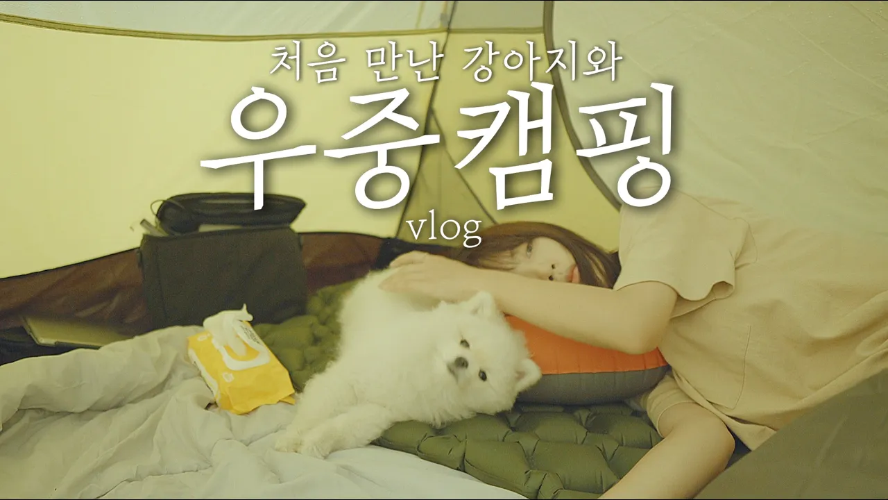관련 영상 썸네일
