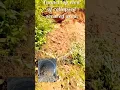Download Lagu #Tunnel #Top view of collapsed occured area #tunnelcollapsed