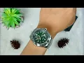 Download Lagu Seiko Superior Automatic Green Dial Silver Stainless Steel, Case Silver